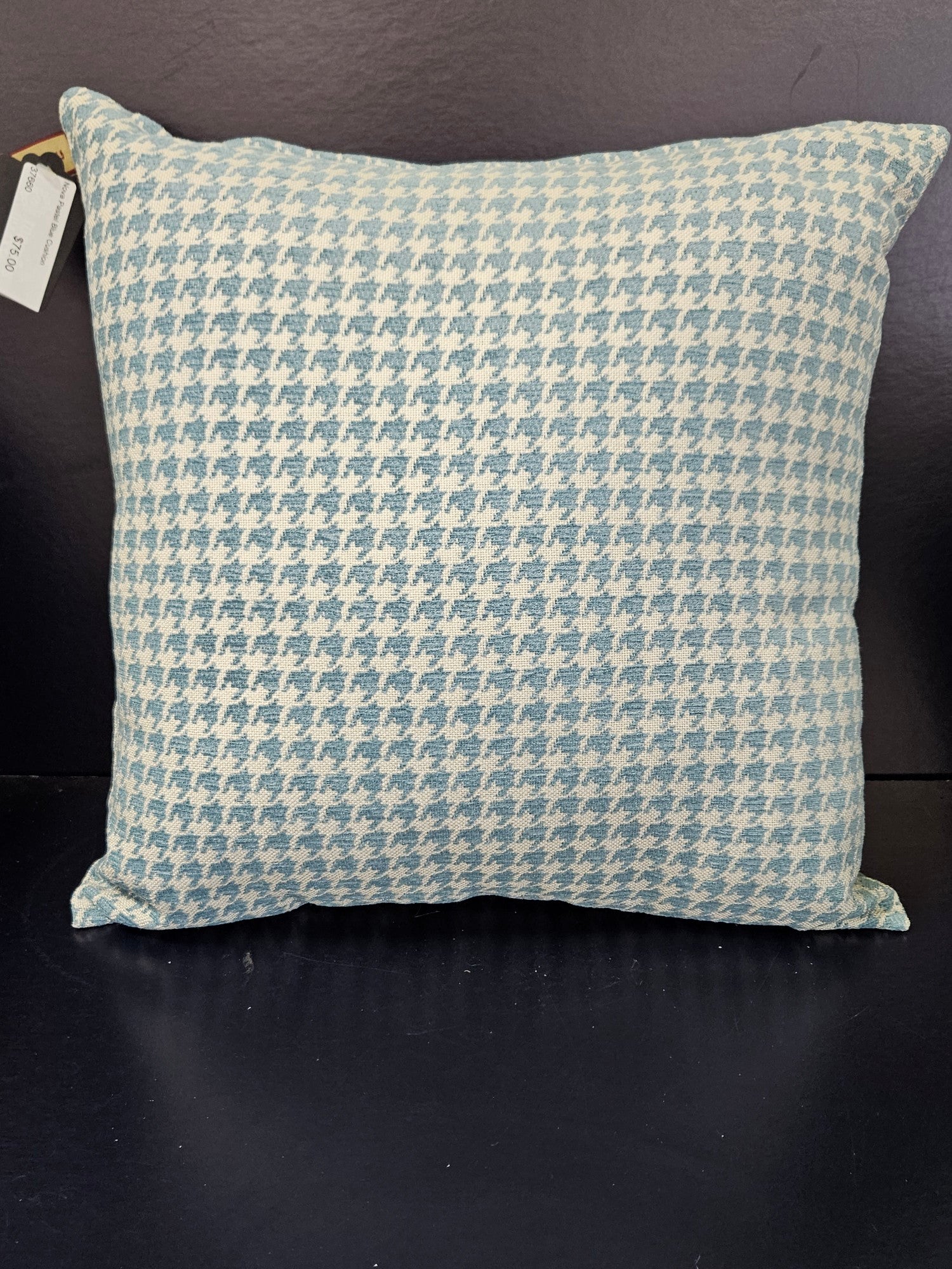 Nova Pastel Blue Cushion